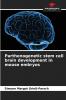 Parthenogenetic stem cell brain development in mouse embryos