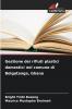 Gestione dei rifiuti plastici domestici nel comune di Bolgatanga Ghana