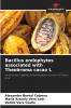 Bacillus endophytes associated with Theobroma cacao L