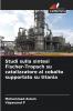 Studi sulla sintesi Fischer-Tropsch su catalizzatore al cobalto supportato su titania
