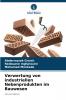 Verwertung von industriellen Nebenprodukten im Bauwesen