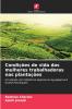 Condições de vida das mulheres trabalhadoras nas plantações