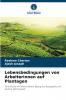 Lebensbedingungen von Arbeiterinnen auf Plantagen