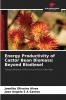 Energy Productivity of Castor Bean Biomass