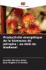 Productivité énergétique de la biomasse de jatropha