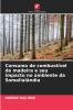 Consumo de combustível de madeira e seu impacto no ambiente da Somalialândia