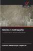 Gmina i metropolia