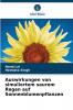 Auswirkungen von simuliertem saurem Regen auf Sonnenblumenpflanzen