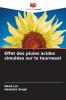 Effet des pluies acides simulées sur le tournesol