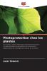 Photoprotection chez les plantes