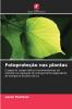 Fotoproteção nas plantas