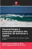 Geomorfologia e evolução geológica dos sistemas de barreiras e lagoas