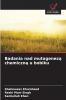 Badania nad mutagenezą chemiczną u bobiku