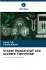Grüner Wasserstoff und saubere Elektrizität