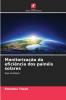 Monitorização da eficiência dos painéis solares