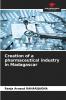 Creation of a pharmaceutical industry in Madagascar