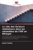 Le rôle des facteurs médiateurs dans les retombées de l'IDE en Éthiopie