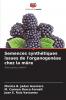 Semences synthétiques issues de l'organogenèse chez la mûre