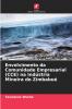 Envolvimento da Comunidade Empresarial (CCE) na Indústria Mineira do Zimbabué