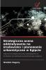 Strategiczna ocena oddziaływania na środowisko i planowanie urbanistyczne w Egipcie
