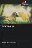 SOKELA 14