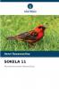 SOKELA 11