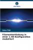 Filamententladung in einer 1.5D-Konfiguration modelliert