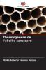 Thermogenèse de l'abeille sans dard