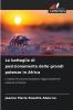 Le battaglie di posizionamento delle grandi potenze in Africa