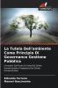 La Tutela Dell'ambiente Come Principio Di Governance Gestione Pubblica
