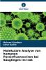 Molekulare Analyse von humanen Parainfluenzaviren bei Säuglingen im Irak