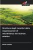 Struttura degli incentivi delle organizzazioni di microfinanza nel Sud-Est asiatico