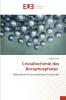Cristallochimie des Borophosphates