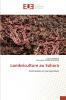 Lombriculture au Sahara