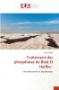 Traitement des phosphates de Bled El Hadba