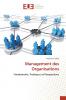 Management des Organisations