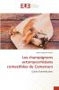 Les champignons ectomycorhiziens comestibles du Cameroun