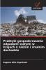 Praktyki gospodarowania odpadami stałymi w krajach o niskim i średnim dochodzie