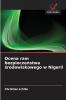 Ocena ram bezpieczeństwa środowiskowego w Nigerii