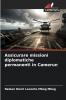 Assicurare missioni diplomatiche permanenti in Camerun