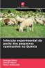 Infecção experimental da peste dos pequenos ruminantes no Quénia