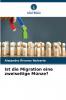 Ist die Migration eine zweiseitige Münze?