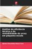 Análise da eficiência técnica e da rentabilidade do arroz em pequena escala