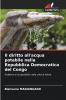 Il diritto all'acqua potabile nella Repubblica Democratica del Congo