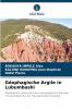 Géophagische Argile in Lubumbashi
