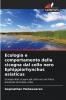 Ecologia e comportamento della cicogna dal collo nero Ephippiorhynchus asiaticus