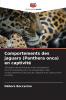 Comportements des jaguars (Panthera onca) en captivité