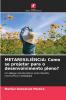 METARESILIÊNCIA