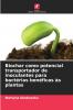 Biochar como potencial transportador de inoculantes para bactérias benéficas às plantas