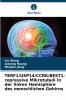 TERF1/USP14/CCRK/BEST1-repressive Mikrotubuli in der linken Hemisphäre des menschlichen Gehirns